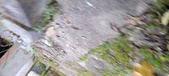 Enlarge photo 238