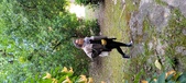 Enlarge photo 242