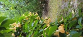 Enlarge photo 247
