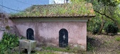 Enlarge photo 257