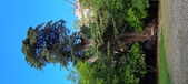 Enlarge photo 271