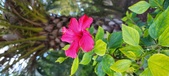 Enlarge photo 275