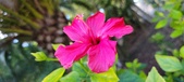 Enlarge photo 276