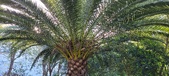 Enlarge photo 278