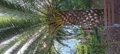 Enlarge photo 279