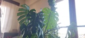 Enlarge photo 286