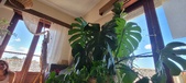 Enlarge photo 289