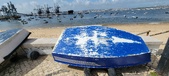 Enlarge photo 61