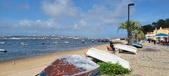Enlarge photo 72