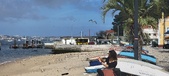 Enlarge photo 73