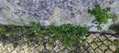 Enlarge photo 92