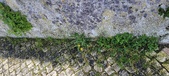 Enlarge photo 93