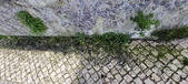 Enlarge photo 94