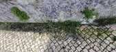 Enlarge photo 95