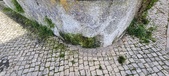 Enlarge photo 99