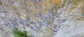 Enlarge photo 98