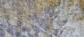 Enlarge photo 97