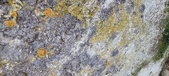 Enlarge photo 96
