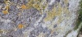 Enlarge photo 103