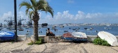 Enlarge photo 115