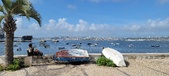Enlarge photo 112