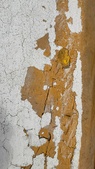 Enlarge photo 130