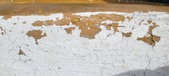 Enlarge photo 135