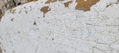 Enlarge photo 134