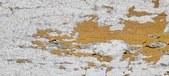 Enlarge photo 133