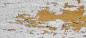 Enlarge photo 132