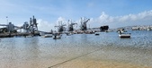 Enlarge photo 141