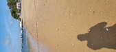 Enlarge photo 158