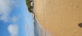 Enlarge photo 159