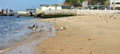 Enlarge photo 161