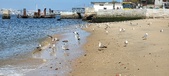 Enlarge photo 162