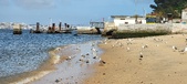 Enlarge photo 163