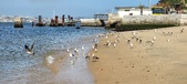 Enlarge photo 164