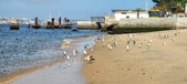 Enlarge photo 165