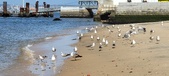 Enlarge photo 166