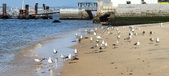 Enlarge photo 167