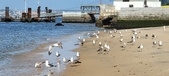 Enlarge photo 168