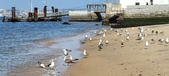 Enlarge photo 169