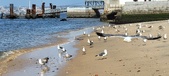 Enlarge photo 170