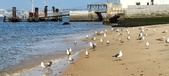 Enlarge photo 171