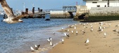 Enlarge photo 172