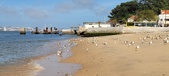 Enlarge photo 173