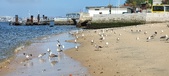 Enlarge photo 174