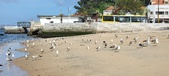 Enlarge photo 175