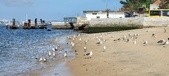 Enlarge photo 176