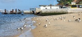 Enlarge photo 177